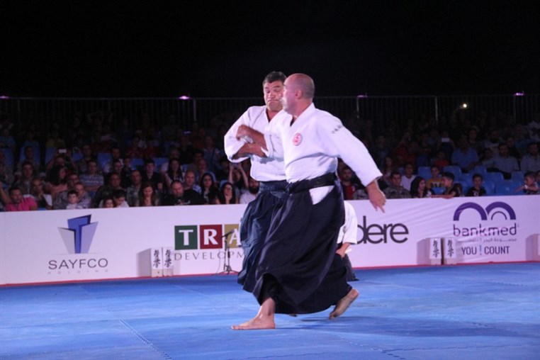 Martial Arts Festival